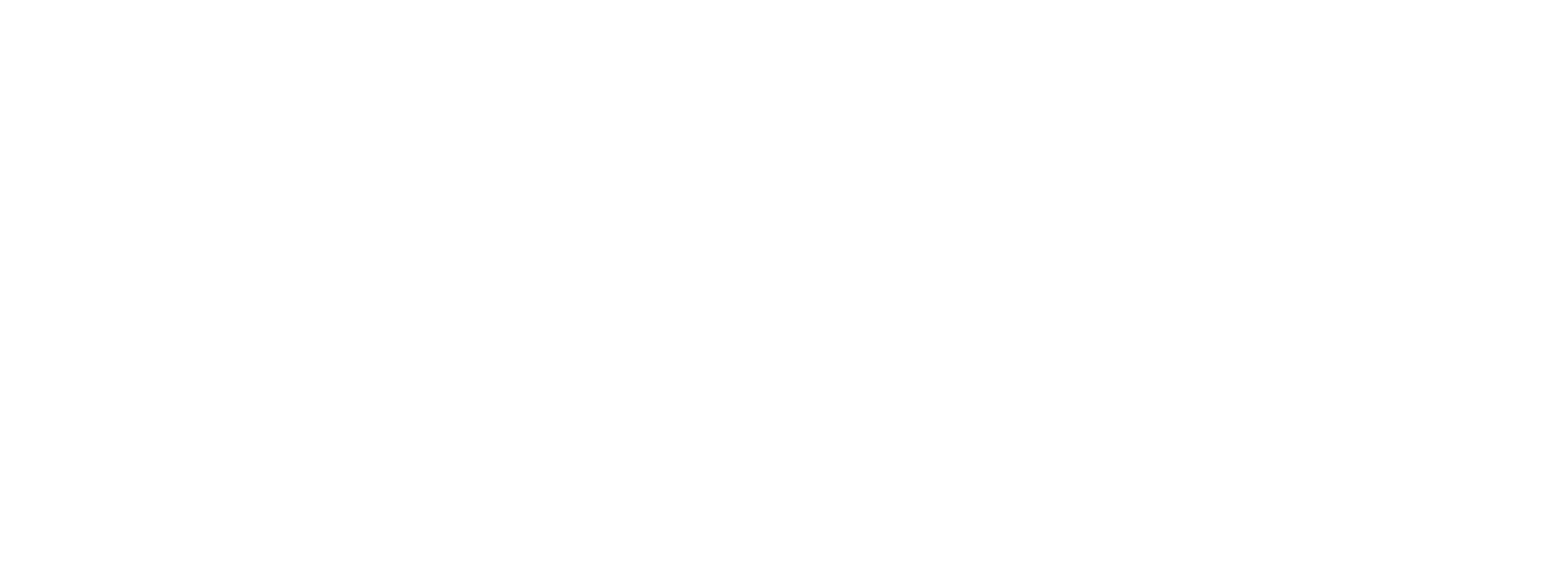 Logo white - Buildtrix Luxury Architecture & Interior Services